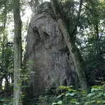 Klettergebiet, Altmühltal, Fels: Fels X
