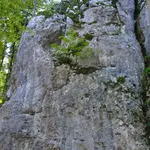 Klettergebiet, Altmühltal, Fels: Vergessene Welt