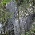 Klettergebiet, Altmühltal, Fels: Wildwechsel