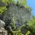 Klettergebiet, Labertal, Fels: Bruckdorfer Wand