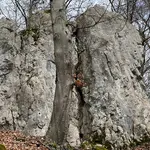 Klettergebiet, Konstein, Fels: Backenzahn