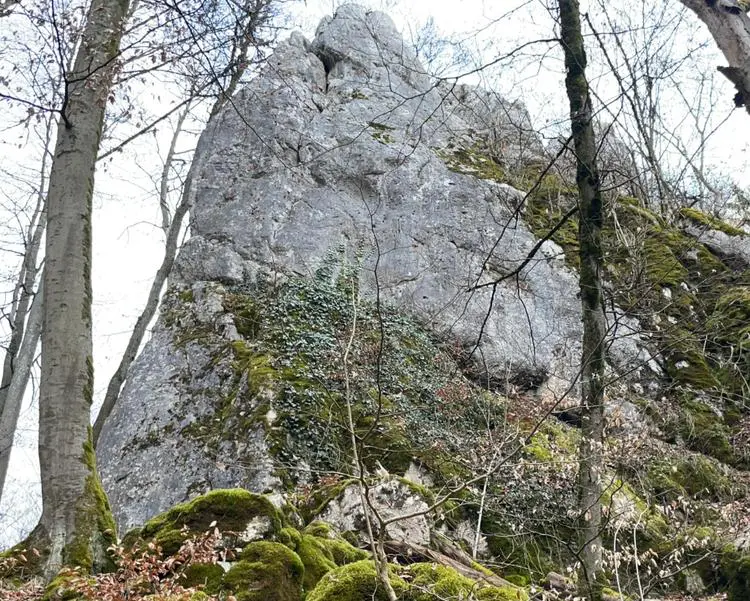 Klettertopo „Bergspinnenkante“ am Fels Bergspinnenturm in Konstein