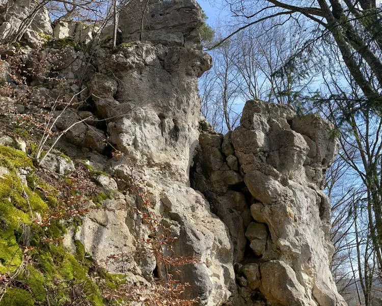 Klettertopo „Dohlenwandl links“ am Fels Dohlenwandl in Konstein