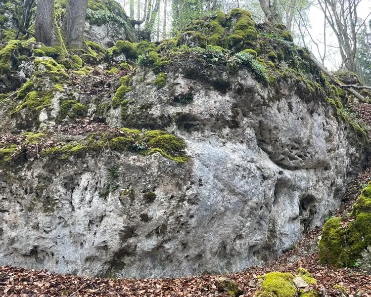 Klettertopo „Fangorn“ am Fels Albenmark in Labertal