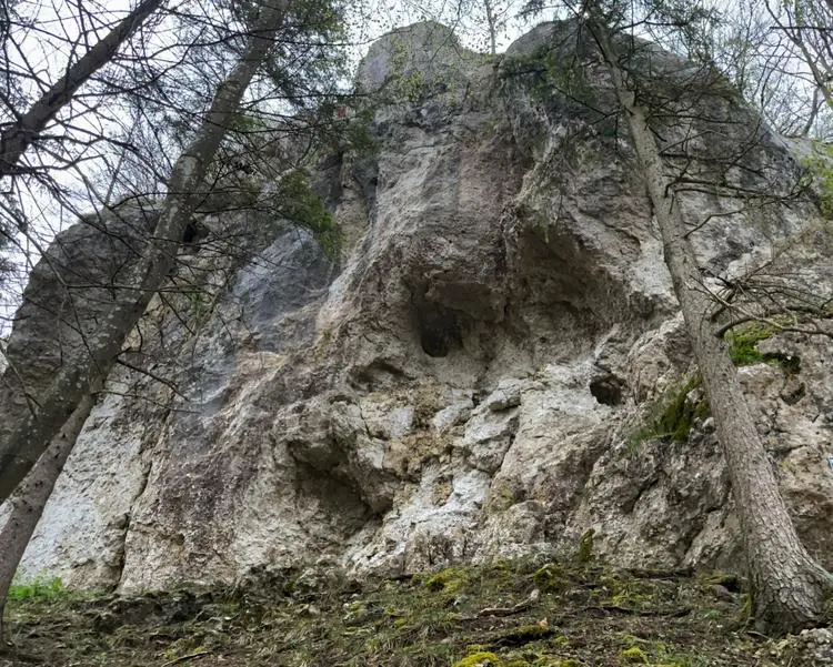 Klettertopo „Caracas“ am Fels Hohe Wand in Labertal