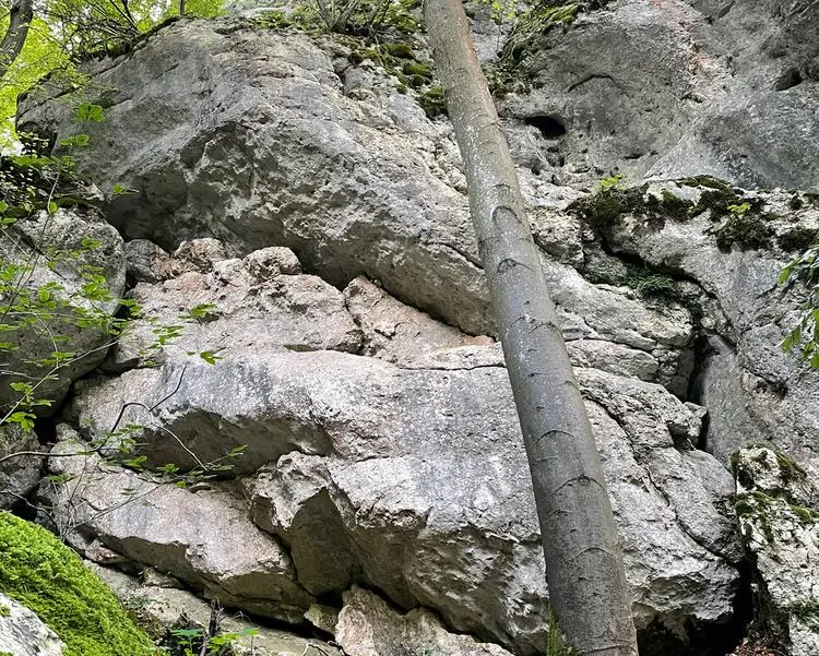 Klettertopo „Influencer“ am Fels Homöostase in Altmühltal