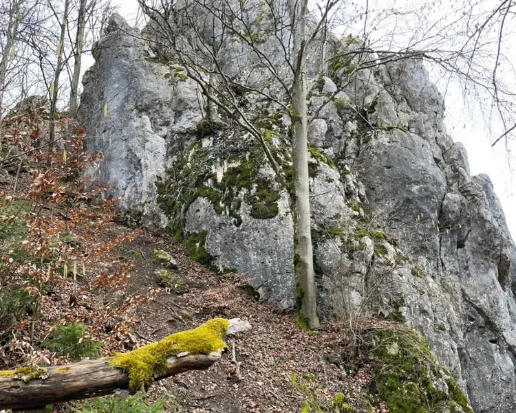 Klettertopo „Jolly Jumper“ am Fels Lucky Luke in Konstein