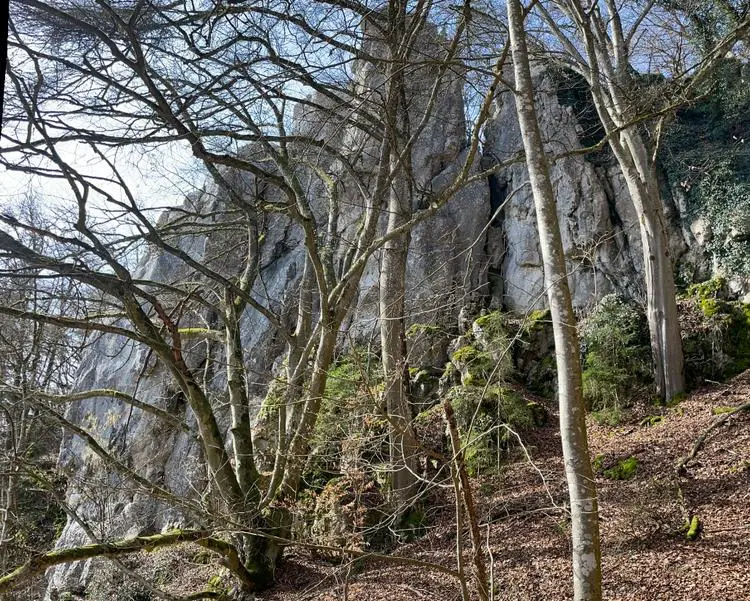 Klettertopo „Geigerriss“ am Fels Madonna in Konstein