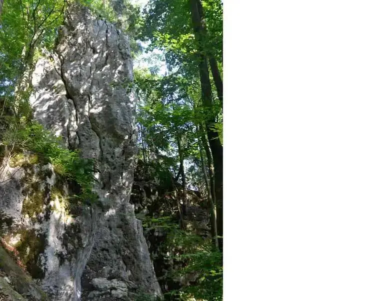 Klettertopo „Pinguin“ am Fels Pinguin in Altmühltal