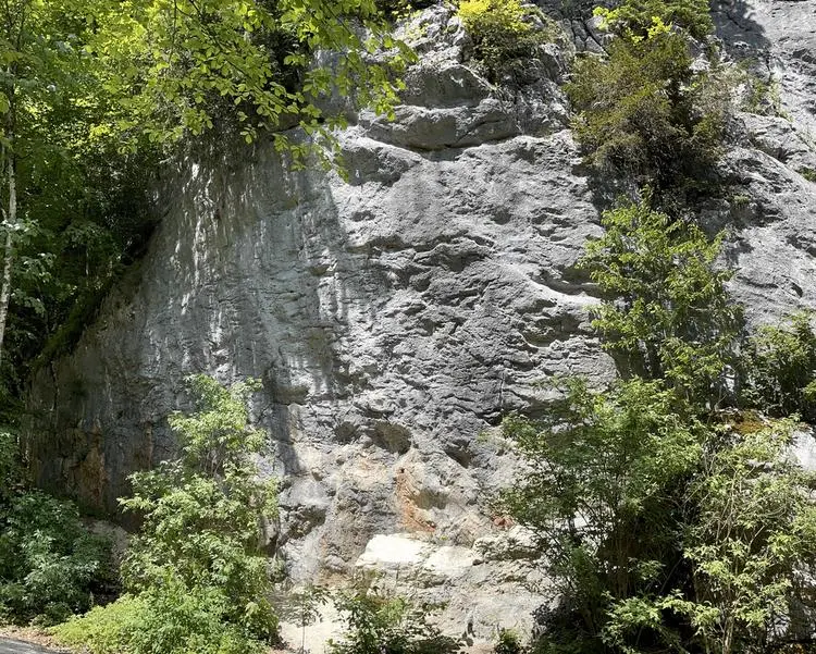 Klettertopo „Kriminelle Pinguine“ am Fels Auerwandl in Chiemgau
