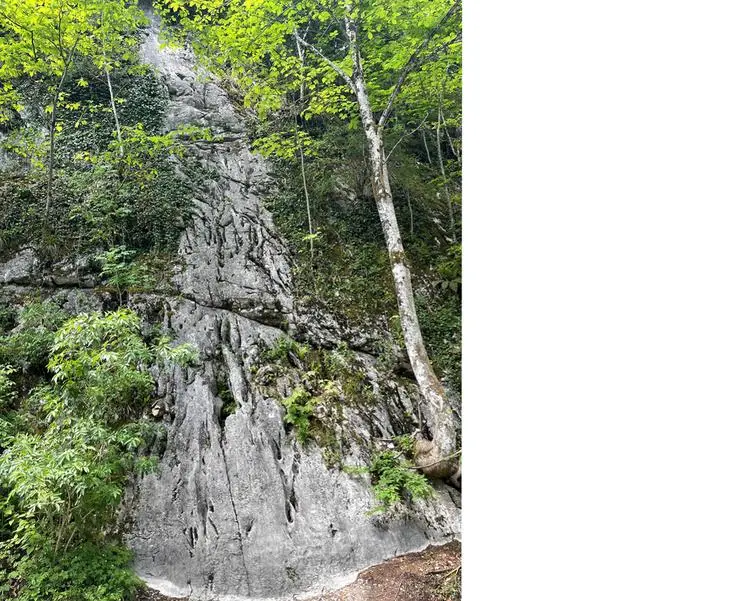 Klettertopo „Mongo Gnom“ am Fels Auerwandl in Chiemgau
