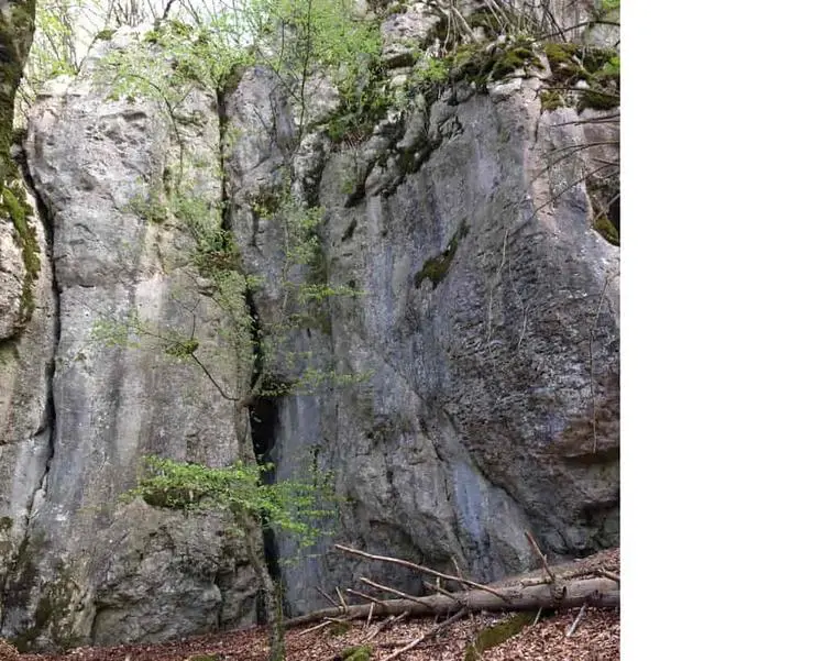 Klettertopo „Melanie“ am Fels Bärenkopf in Altmühltal