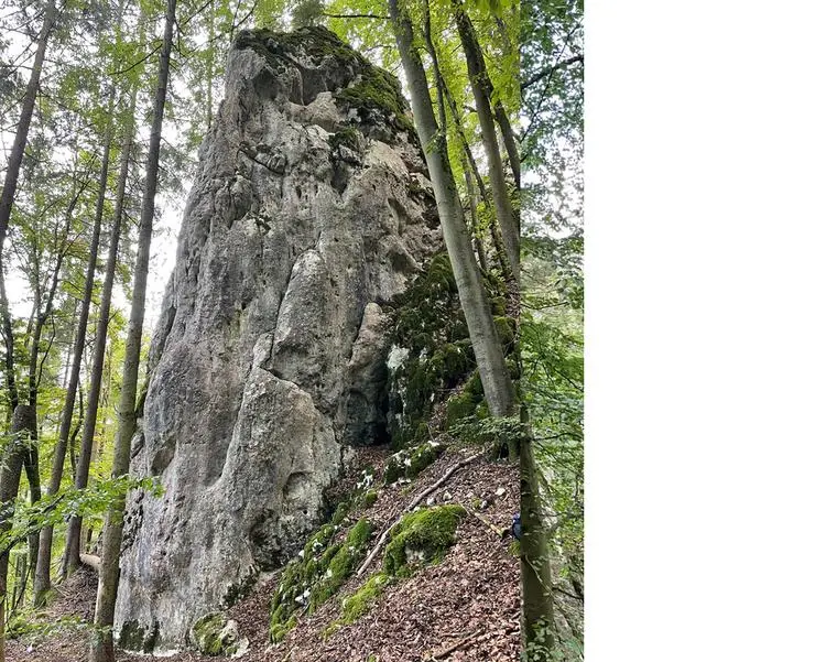 Klettertopo „Hochzeitsriss“ am Fels Blauer Klaus in Altmühltal