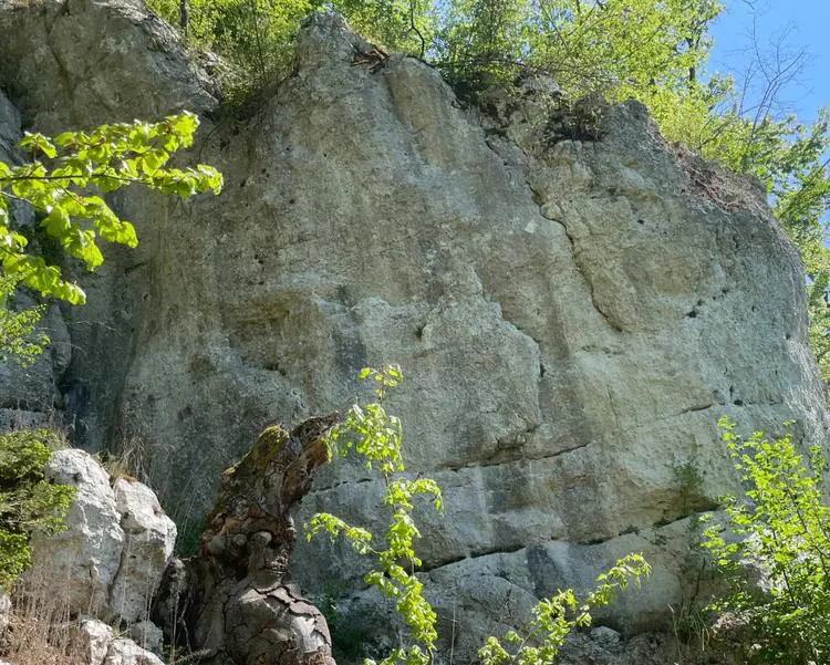 Klettertopo „Bruckdorfer Wand links“ am Fels Bruckdorfer Wand in Labertal