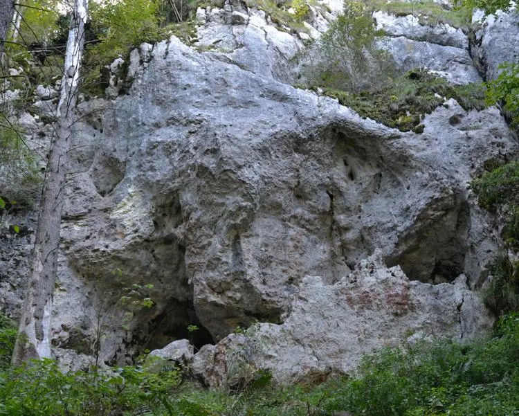 Klettertopo „Cavolution“ am Fels Schlafwandlerfels und Cavolution in Altmühltal