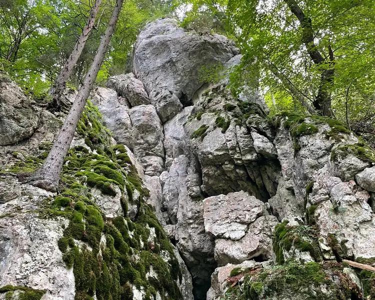 Klettertopo „Crashtestdummy“ am Fels Homöostase in Altmühltal