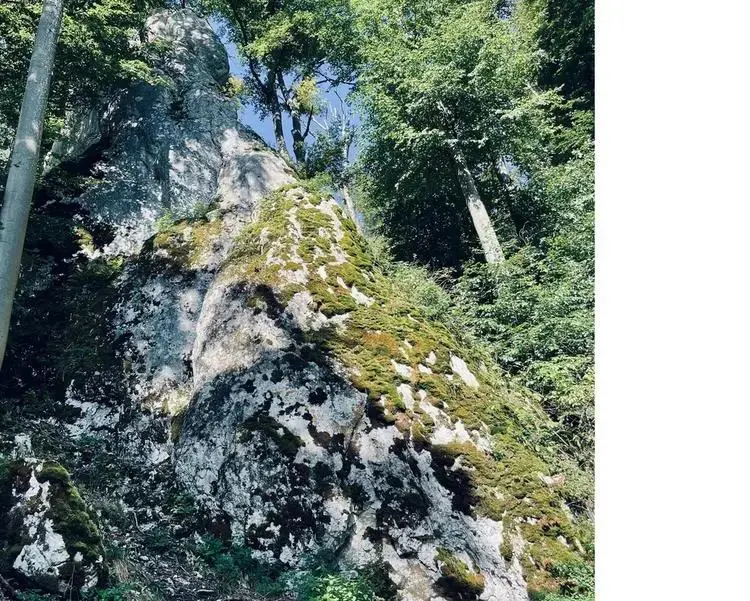 Klettertopo „Dohlenturm Rechts“ am Fels Dohlenturm in Konstein