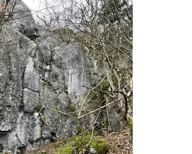 Klettertopo „Dornröschenturm“ am Fels Dornröschenturm in Konstein