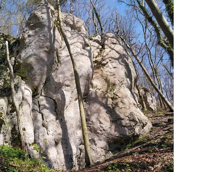 Klettertopo „Pennylane“ am Fels Felsengarten in Konstein