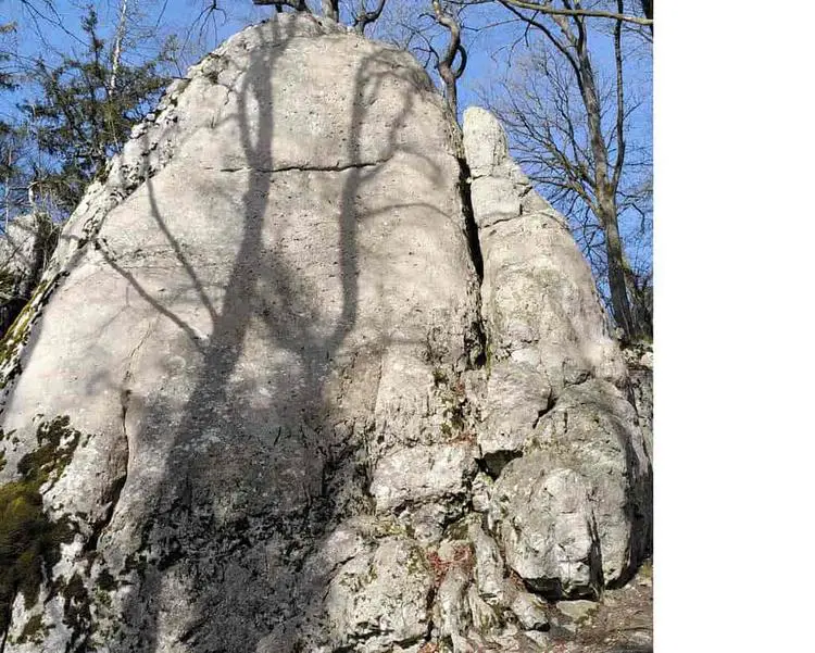 Klettertopo „Reibungsplatte“ am Fels Felsengarten in Konstein