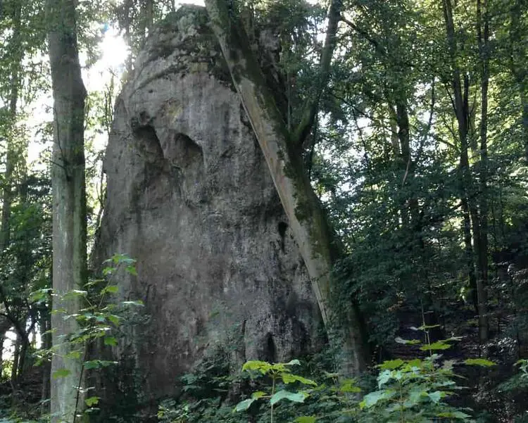 Klettertopo „Fels X“ am Fels Fels X in Altmühltal