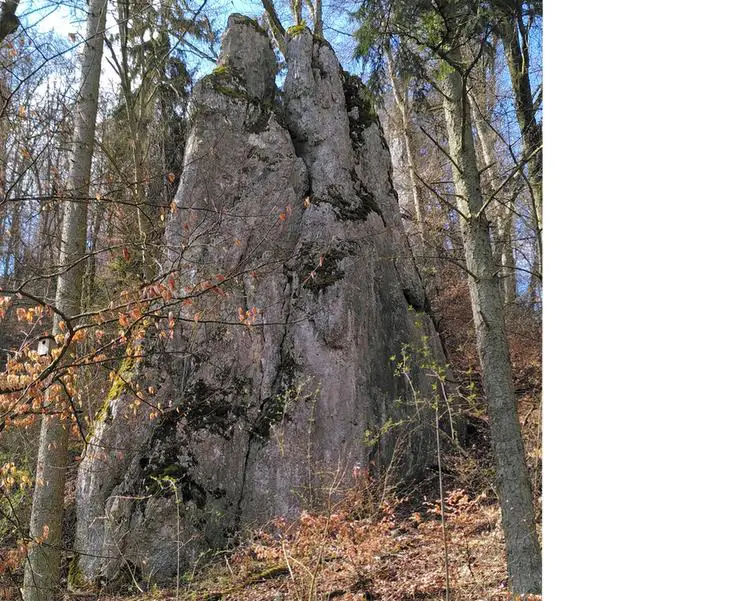 Klettertopo „Nebenmassiv“ am Fels Försterfels in Konstein