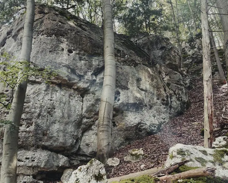 Klettertopo „Gröglinger Wand rechts“ am Fels Gröglinger Wand in Altmühltal