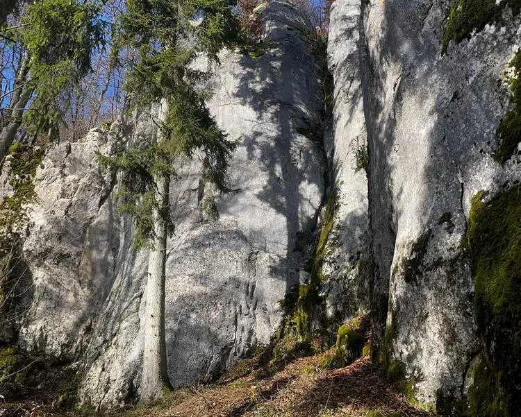 Klettertopo „Weg zum Herzen“ am Fels Försterfels in Konstein