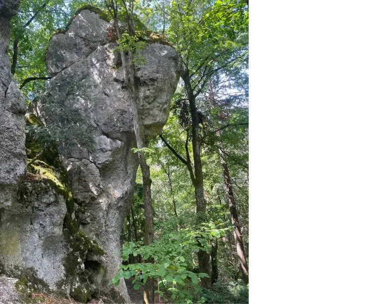 Klettertopo „Pikantus“ am Fels Obereinbuch in Labertal