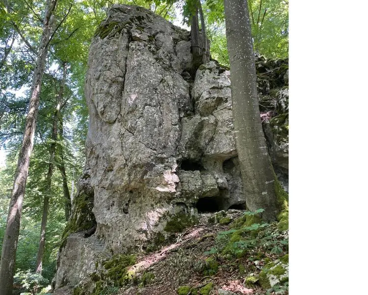 Klettertopo „Kante“ am Fels Oberländer Wand in Konstein