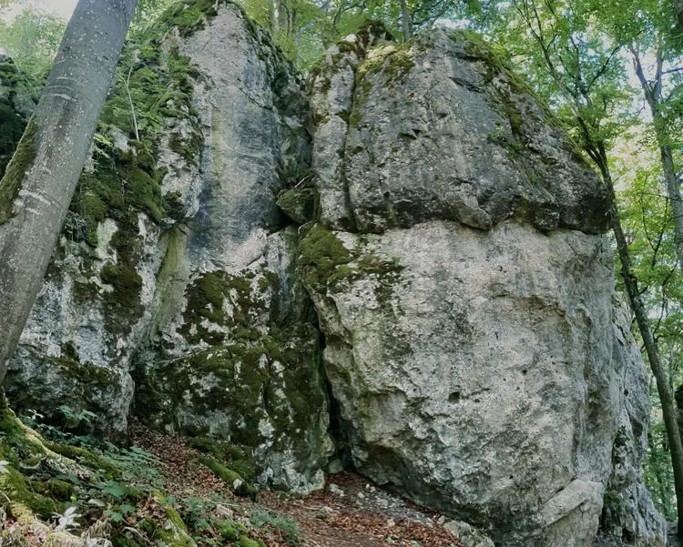 Klettertopo „Serpentine“ am Fels Oberländer Wand in Konstein