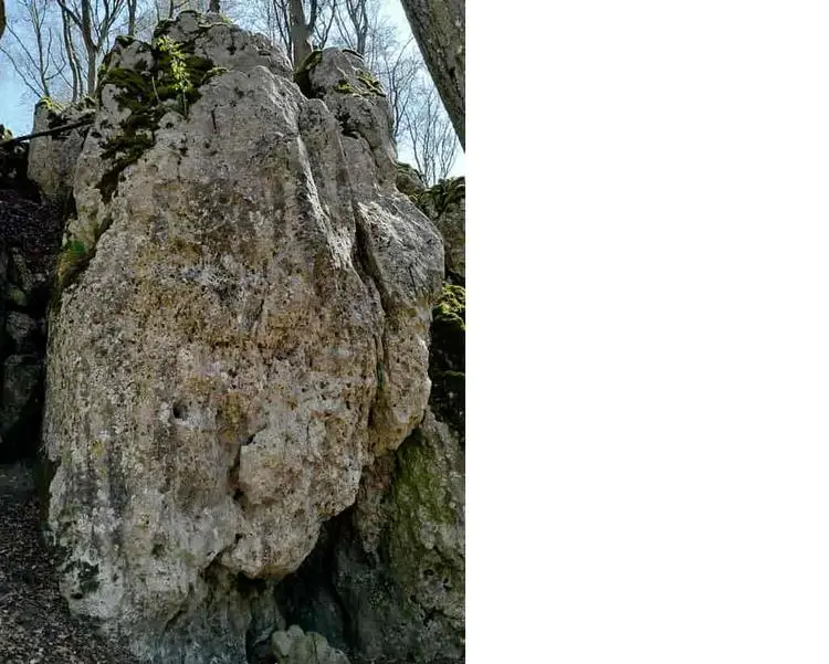 Klettertopo „Wichtelweg“ am Fels Oberländer Wand in Konstein