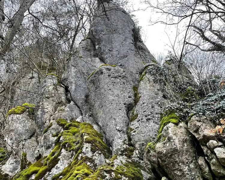 Klettertopo „Oberlandwand Goldener Oktober“ am Fels Oberlandwand in Konstein