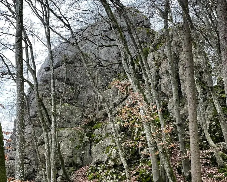 Klettertopo „Oberlandwand Ostseite“ am Fels Oberlandwand in Konstein