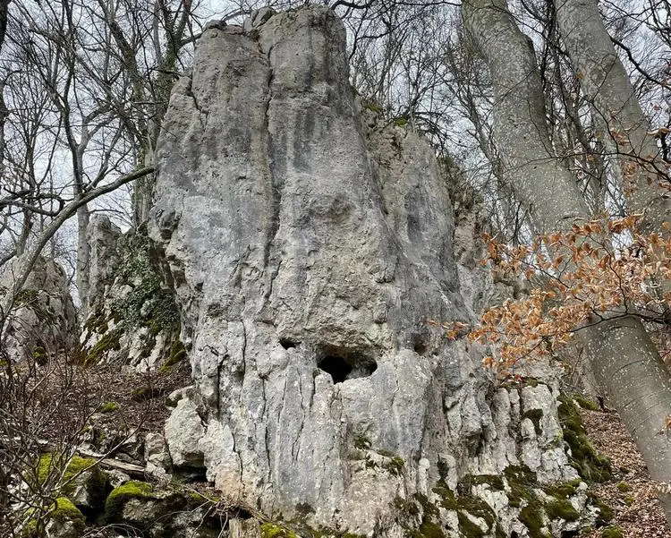 Klettertopo „Pinwandl“ am Fels Pinwandl in Konstein