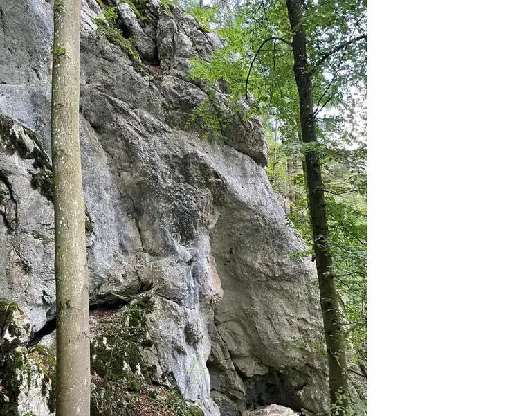 Klettertopo „Das Geheimnis der Rüstkammer“ am Fels Homöostase in Altmühltal