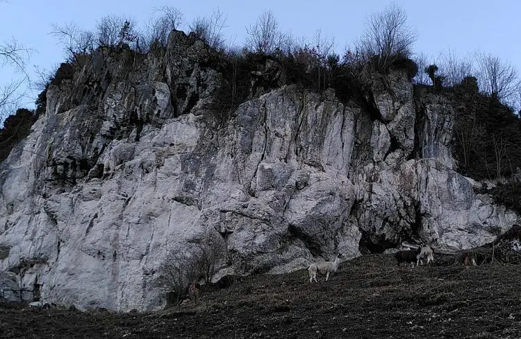 Klettertopo „Hauptwand“ am Fels Schlossberg in Unteres Inntal