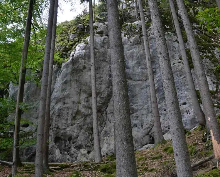 Klettertopo „Schwedenfels“ am Fels Schwedenfels und Grantler in Altmühltal
