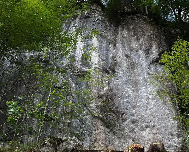Klettertopo „Fried Line“ am Fels Idealwand in Unteres Inntal