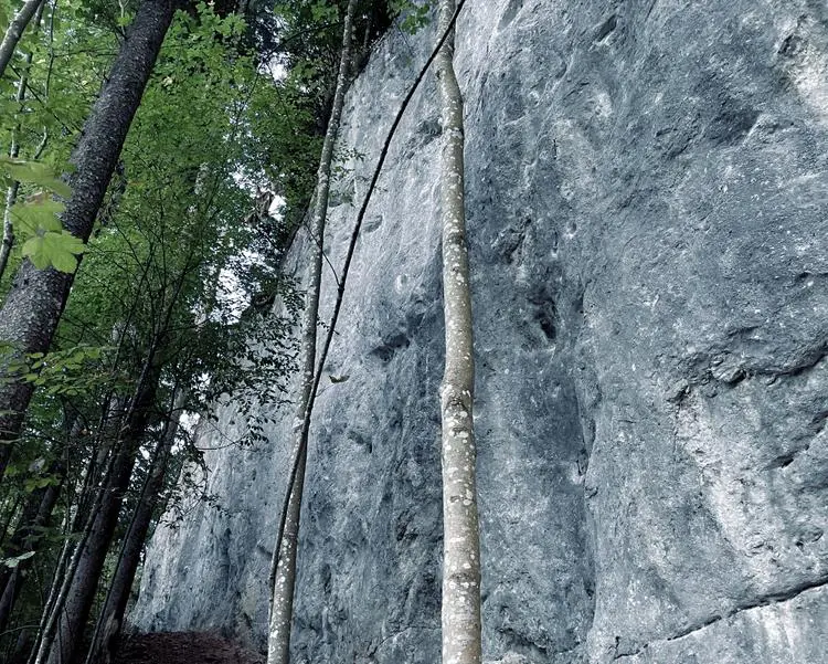 Topo Piranha am Fels Idealwand in Unteres Inntal