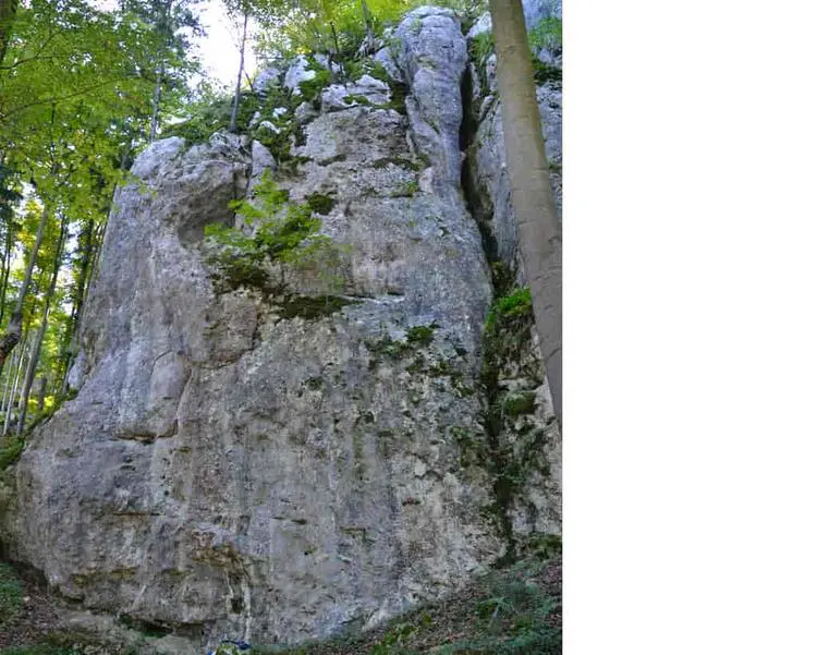 Klettertopo „Saftpresse“ am Fels Vergessene Welt in Altmühltal