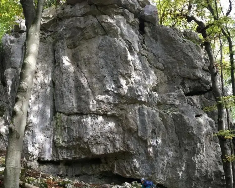 Klettertopo „Waldkopf“ am Fels Waldkopf in Altmühltal