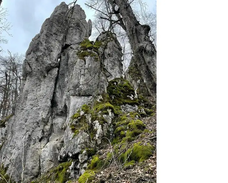 Klettertopo „Zahn Ostseite“ am Fels Zahn in Konstein