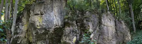 Munichclimbs | Klettergebiet Naabtal | Fels Kellerfels